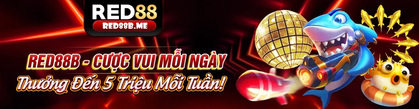 Hình ảnh chào mừng 8day8 Casino, hướng dẫn người mới