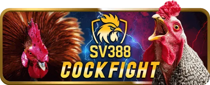 Cờ bạc có trách nhiệm 8day8 Casino