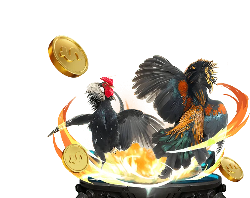 Chương trình VIP độc quyền của 8day8 casino